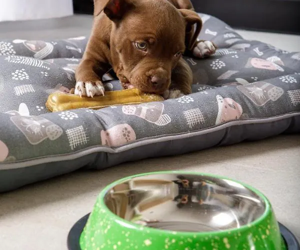 Mynd Adeje 阿德耶