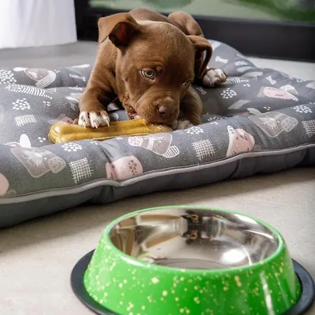 Mynd Adeje 阿德耶